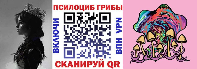 мега как зайти  Ак-Довурак  Галлюциногенные грибы мухоморы 
